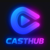 CASTHUB AGENCY Logo Footer